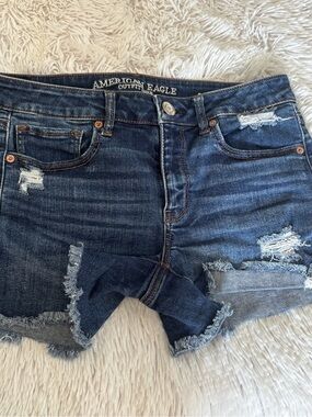 American Eagle Outfitters Dark Wash Distressed Denim Shorts